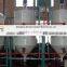 hot sales in Africa! 3T/D palm oil refining machine