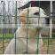 100*100mm PVC coated holland welded wire mesh fence