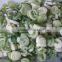 hot sale IQF scallion cut with good quality for sale