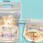 Leisure food plastic packing bag with header & hanging hole