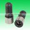 Mold Part Brass Pressure Screw