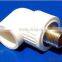 PPR Male Adaptor from Chinese Factory with High Quality suitable for transporting drinking wate