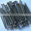 wire nails manufacture in china/common nail iron nail factory