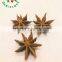 Wholesale Star Anise Origin in China Spice Manufacture