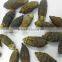 DRIED BETEL NUT (export.vilaconic(at)gmail.com)