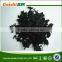 WAKAME STEM