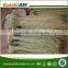 halal sweet potato noodle vermicelli