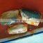 Canned Fishes Canned Mackerel in Tomato Sauce 125g/155g/425g