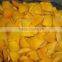 IQF fruits