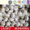 Chinese Normal White Fresh Garlic Mesh Bag Carton