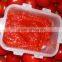 Tomato Paste, ( Sachet Tomato Paste, Canned Tomato Paste, Tinned Tomato Paste