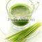 2015 China origin Organic wheat grass extract juice powder
