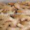 Fresh mature ginger