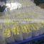 Green Roses Fresh Cut Roses And Fresh Roses for Sale