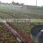 CYLR Micro Spray Products Mirco Irrigation System Good Quality