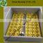 Automatic mini 48 egg incubator for hot sale