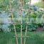Natural Decorative Bamboo Trellis Support Plant