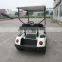 Best popular electirc mini buggy for golf