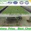 Plastic Greenhouse Agriculture