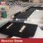 Newstar Chinese Zimbabwe Black Granite Countertop for Sale