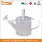 Countryside Garden Watering Can Metal Flower Pot