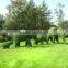 Customized artificial topiary grass animal landscaping