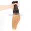 Beautiful 1b/27 straight 6a virgin hair alixpress malaysian hair