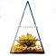 geometric terrarium geometric glass terrarium wholesale