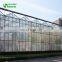 2019 Professional Hydroponics Equipment Large Size Glass Greenhouse