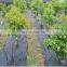 Used PP weed control mat ground cover, silt fence black woven fabric mat