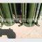 30kg load high winch telescopic pole extension mast hand lifting18m