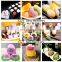 Featurable double fillings mochi making machine in 3 hoppers