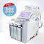 New Year promotion 6 In 1 Skin Care Microcurrent Face Lift Anti-wrinkle Machine / Hydro Beauty Facial Machine
