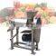 Pineapple strawberry lemon watermelon grape juicer machine