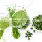 healthy spirulina powder for sale