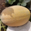 Hybrid Hami Melon Seeds Crisp Orange Flesh Melon