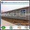 Exterior wood panel cement board