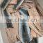 IQF head off tail off clean sardine fish fillet for processing