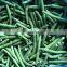 2021 New Crop Top Grade D 8 - 11mm 7 - 9 mm IQF Frozen Green Beans