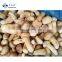 Sinocharm BRC-A approved New Crop FROZEN MATSUTAKE SLICE