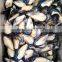 frozen half shell mussel meat