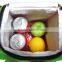 Insulated Lunch Bag with Adjustable Shoulder Strap