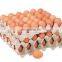 waste paper egg tray making machine/ egg dishes production line