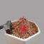 Volcanic Mud Powder Volcanic Clay Powder Volcanic Mud Price Per Ton