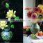 Colorful 3D lenticula picture for home decoration in 30*40cm