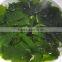 Food Grade Dry wakame Cut,Japanese Food Cut Wakame Seaweed