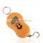 40KG smiling face like orange digital weighing scale fishing scale with metal hook