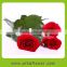 Export romantic rose flower to lovers