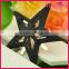 metal black star decorative heel shoe clip accessories