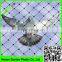 UV inhibited virgin HDPE black bop up bird net,fireproof anti bird netting,high strength bird screen mesh